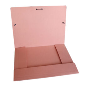 Pasta Cartolina 350gr 310x230 Abas/Elast Salmao x 5un