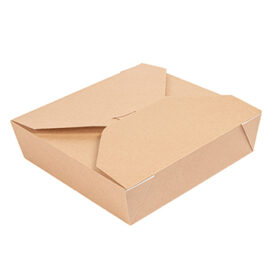 Caixa Cartolina Kraft 21,7x21,7x6cm 2910ml THEPACK 100un