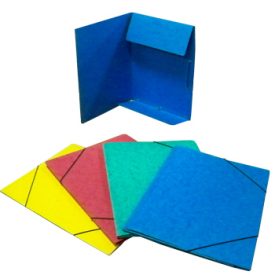 Pasta Cartao Hidraul 310x230 Abas/Elast Roma19 Grenat